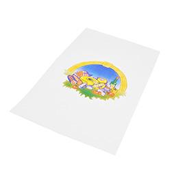 PAPIER DUPLEX MOTIF 25X37.5CM 1/8