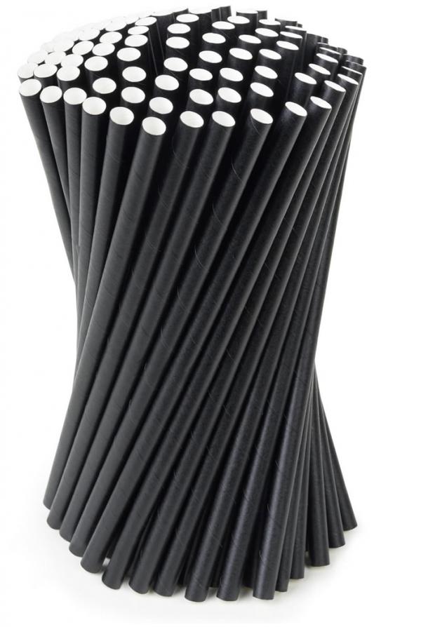 PAILLE NOIRE SMOOTHIE 200 MM X 8 MM